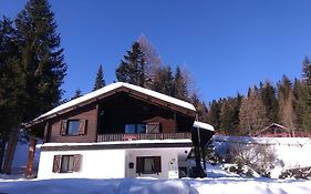 Fichtenblockhütte